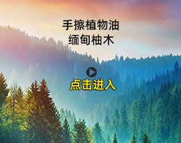 缅甸柚木手擦植物油